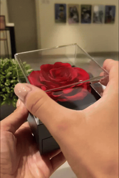 Rosa Eterna🌹